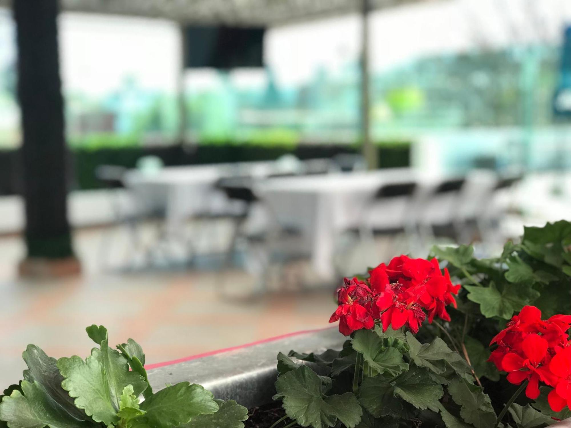 Hotel Malinalli Хуамантла Екстериор снимка